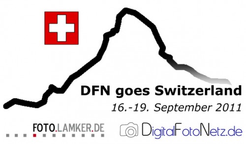 DFN goes Switzerland 2011