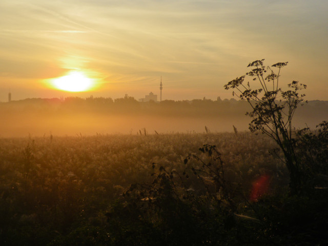 Skyline Dortmund